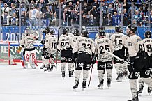 Eishockey, Herren, DEL, Saison 2023-2024, Spieltag 51, ERC Ingolstadt - Kölner Haie, 03.03.2024