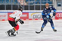 Eishockey, Frauen, DFEL, Saison 2024-2025, ERC Ingolstadt - EC Bergkamener Bären, 04.01.2025