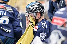 Eishockey, Herren, DEL, Saison 2024-2025, Spieltag 17, ERC Ingolstadt - Adler Mannheim, 17.11.2024