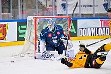 Hockey, Mens, CHL, Season 2025-2026, Regular Season, Game Day 2, ERC Ingolstadt - Kalpa Kuopio, 30.08.2025