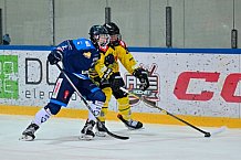 Eishockey, Herren, U20 DNL, Saison 2025-2026, Halbfinale - Spiel 2, ERC Ingolstadt - Krefelder EV 81, 15.03.2026