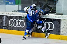 Eishockey, Herren, DEL, Saison 2024-2025, EHC Olten - ERC Ingolstadt, 25.08.2024