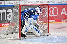 Eishockey, Frauen, DFEL, Saison 2023-2024, ERC Ingolstadt - ESC Planegg-Würmtal, 26.11.2023