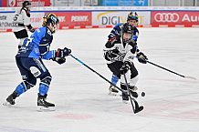 Eishockey, Frauen, DFEL, Saison 2023-2024, ERC Ingolstadt - Amsterdam Tigers, 06.01.2024