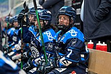 Eishockey, Frauen, DFEL, Saison 2025-2026, ERC Ingolstadt - Eisbären Berlin, 18.01.2026