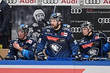 Eishockey, Herren, DEL, Saison 2024-2025, Spieltag 42, ERC Ingolstadt - Kölner Haie, 31.01.2025