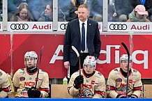 Eishockey, Herren, DEL, Saison 2024-2025, Playoffs Viertelfinale, Spiel 1, ERC Ingolstadt - Nürnberg Ice Tigers, 16.03.2025