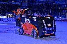 Eishockey, Herren, DEL, Saison 2025-2026, Spiel 21, ERC Ingolstadt - Pinguins Bremerhaven, 23.11.2025