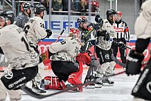 Eishockey, Herren, DEL, Saison 2023-2024, Spieltag 36, ERC Ingolstadt - Kölner Haie, 07.01.2024