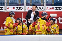 ERC Ingolstadt vs Duesseldorfer EG, Eishockey, DEL, Deutsche Eishockey Liga, Spieltag 22, 19.11.2017