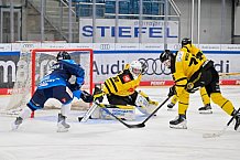 Eishockey, Herren, U20 DNL, Saison 2025-2026, ERC Ingolstadt - Krefeld Pinguine, 10.01.2026