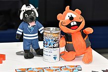 ERC Ingolstadt vs Iserlohn Roosters, Eishockey, DEL, Deutsche Eishockey Liga, Spieltag 48, 31.01.2018