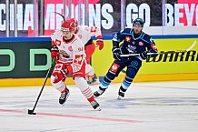 Hockey, Mens, CHL, Season 2025-2026, Regular Season, Game Day 6, ERC Ingolstadt - Odense Bulldogs, 15.10.2025