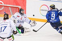 ERC Ingolstadt - Straubing Tigers, Eishockey, DEL, Deutsche Eishockey Liga, Spieltag 16, 24.01.2017