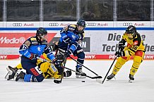 Eishockey, U20, DNL, Saison 2024-2025, ERC Ingolstadt - Krefelder EV 81, 01.03.2025