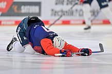 Eishockey, Herren, DEL, Saison 2023-2024, Spieltag 38, ERC Ingolstadt - Adler Mannheim, 14.01.2024