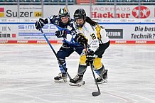 Eishockey, Frauen, DFEL, Saison 2023-2024, ERC Ingolstadt - Mad Dogs Mannheim, 18.02.2024