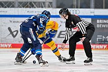 Eishockey, Frauen, DFEL, Saison 2025-2026, Testspiel, ERC Ingolstadt - HC Davos, 14.02.2026
