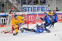Eishockey, Herren, DEL, Saison 2023-2024, Spieltag 6, ERC Ingolstadt - Düsseldorfer EG, 01.10.2023