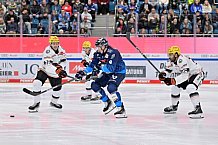 Eishockey, Herren, DEL, Saison 2024-2025, Spieltag 3, ERC Ingolstadt - Löwen Frankfurt, 27.09.2024