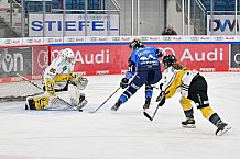 Eishockey, Frauen, DFEL, Saison 2023-2024, ERC Ingolstadt - Mad Dogs Mannheim, 18.02.2024