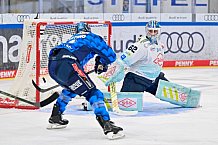 Eishockey, Herren, DEL, Saison 2025-2026, Spiel 23, ERC Ingolstadt - Dresdner Eislöwen, 28.11.2025