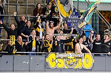 ERC Ingolstadt - Krefeld Pinguine, Eishockey, DEL, Deutsche Eishockey Liga, Spieltag 15, 22.10.2017, Foto: OLIVER STRISCH / st-foto.de