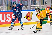 Hockey, Mens, CHL, Season 2025-2026, Regular Season, Game Day 1, ERC Ingolstadt - Ilves Tampere, 28.08.2025