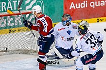 ERC Ingolstadt vs Hamburg Freezers, Eishockey, DEL, Deutsche Eishockey Liga, Spieltag 43, 05.02.2016, Foto: Oliver STRISCH