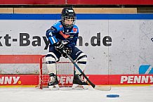 Eishockey, Saison 2025-2026, ERC Ingolstadt - Kids On Ice Day, 10.01.2026