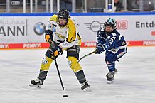Eishockey, Frauen, DFEL, Saison 2021-2022, ERC Ingolstadt - Mad Dogs Mannheim, 23.10.2021