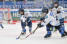 Eishockey, Herren, DEL, Saison 2024-2025, Spieltag 26, ERC Ingolstadt - Iserlohn Roosters, 15.12.2024