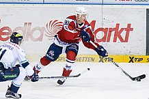 ERC Ingolstadt vs Hamburg Freezers, Eishockey, DEL, Deutsche Eishockey Liga, Spieltag 43, 05.02.2016, Foto: st.foto.de / Oliver STRISCH