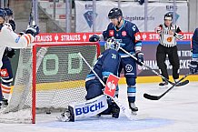 Eishockey, Mens, CHL, Season 2023-2024, ERC Ingolstadt - Växjö Lakers, 14.11.2023