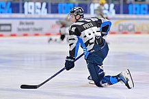 Eishockey, Herren, DEL, Saison 2024-2025, Spieltag 14, ERC Ingolstadt - Löwen Frankfurt, 31.10.2024