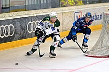 Eishockey, Herren, DEL, Saison 2024-2025, EHC Olten - ERC Ingolstadt, 25.08.2024