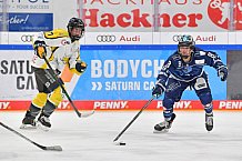 Eishockey, Frauen, DFEL, Saison 2021-2022, ERC Ingolstadt - Mad Dogs Mannheim, 24.10.2021