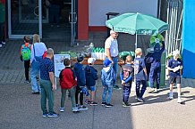 Eishockey, Herren, DEL, Saison 2024-2025, ERC Ingolstadt - Kids On Ice Day, 21.09.2024