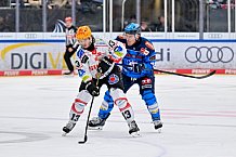 Eishockey, Herren, DEL, Saison 2025-2026, Spiel 21, ERC Ingolstadt - Pinguins Bremerhaven, 23.11.2025