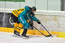 Eishockey, Herren, DEL, Saison 2026-2027, ERC Ingolstadt - HC Verva Litvinov - Steinbach Black Wings Linz, 22.08.2026
