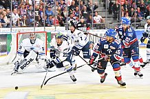 Adler Mannheim vs ERC Ingolstadt, Eishockey, DEL, Deutsche Eishockey Liga, Spieltag 10, 06.10.2017