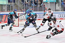 Eishockey, Herren, DEL, Saison 2026-2027, Spieltag 6, ERC Ingolstadt - Kölner Haie, 04.10.2026