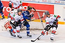 ERC Ingolstadt - Koelner Haie, Eishockey, DEL, Deutsche Eishockey Liga, Spieltag 22, 25.11.2016, Foto: st-foto.de / Oliver STRISCH