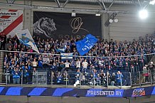 Eishockey, Herren, DEL, Saison 2025-2026, Spiel 24, Nürnberg Ice Tigers - ERC Ingolstadt, 30.11.2025