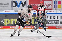 Eishockey, Herren, DEL, Saison 2023-2024, Spieltag 36, ERC Ingolstadt - Kölner Haie, 07.01.2024
