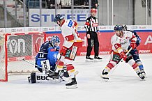 Eishockey, Herren, DEL, Saison 2023-2024, Spieltag 46, ERC Ingolstadt - Düsseldorfer EG, 15.02.2024