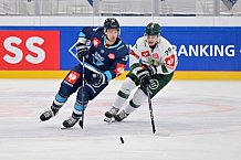 Eishockey, Mens, CHL, Season 2023-2024, ERC Ingolstadt - Färjestad Karlstad, 02.09.2023