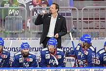 Eishockey, Herren, DEL, Saison 2020-2021, Adler Mannheim - ERC Ingolstadt, 15.02.2021