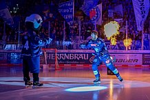 Eishockey, Herren, DEL, Saison 2024-2025, Spieltag 49, ERC Ingolstadt - Straubing Tigers, 28.02.2025