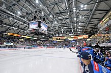 Eishockey, Herren, DEL, Saison 2023-2024, Spieltag 23, ERC Ingolstadt - Straubing Tigers, 01.12.2023